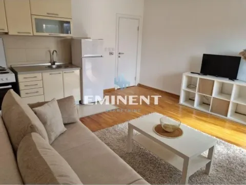 Izdavanje, dvosoban stan, 54m², Tašmajdan, Palilula Sve Podlokacije - image 4