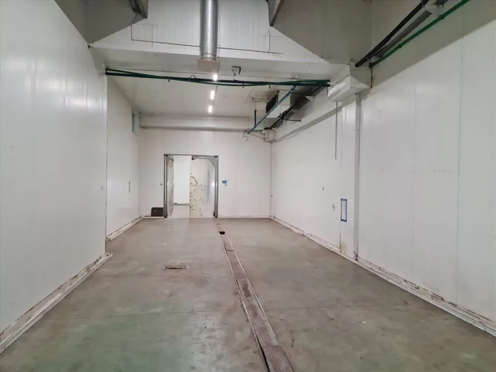 Rent, office space, 3200m², Šimanovci, Pećinci