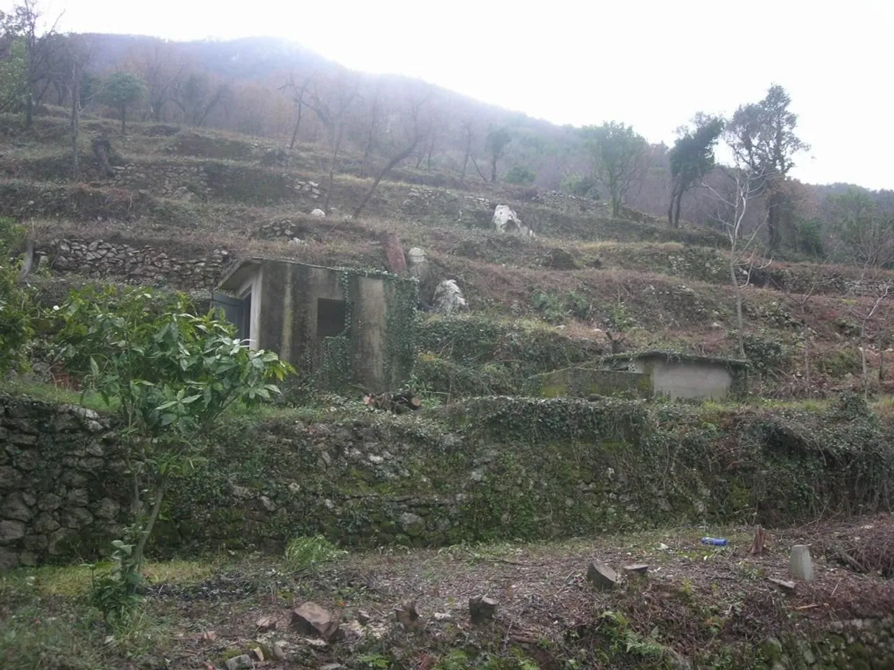Prodaja, plac, 12433m², Koštanjica, Bar