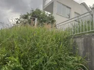 Sale, house, 111m², Gomila, Herceg Novi - image 10