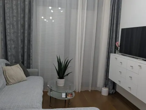 Izdavanje, jednosoban stan, 49m², Tološka šuma, Podgorica - image 3