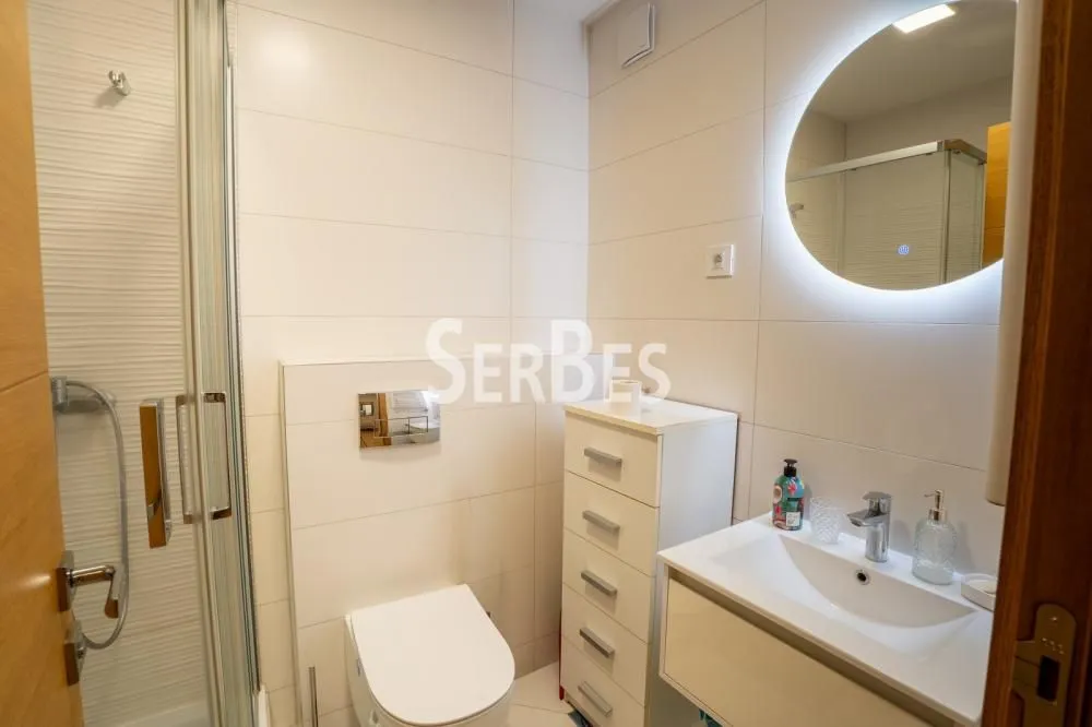 Izdavanje, dvosoban stan, 50m², Socijalno, Novi Sad Sve Podlokacije