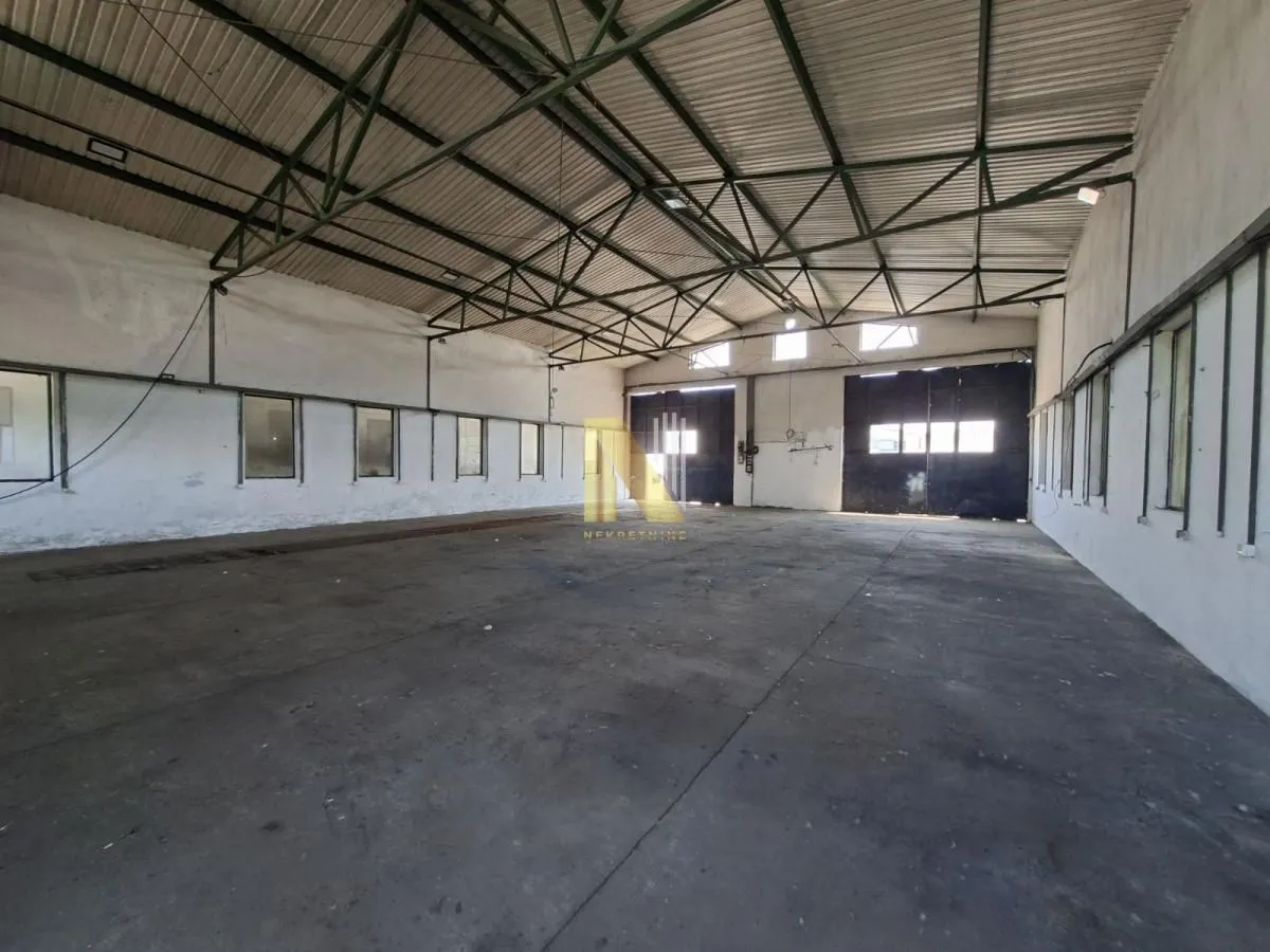 Izdavanje, poslovni prostor, 300m², Bulevar Evrope, Novi Sad Sve Podlokacije