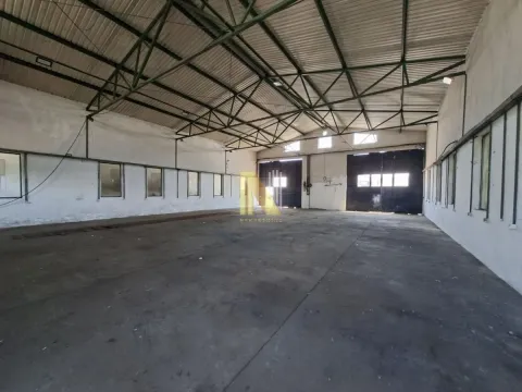 Izdavanje, poslovni prostor, 300m², Bulevar Evrope, Novi Sad Sve Podlokacije - image 2