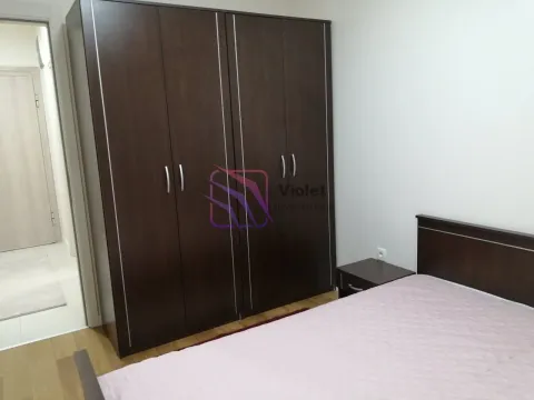 Izdavanje, jednosoban stan, 49m², Central Point, Podgorica - image 4