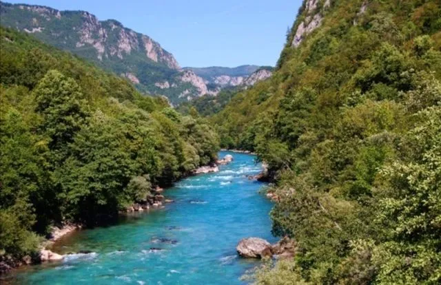 Prodaja, plac, 45500m², Plužine, Crna Gora