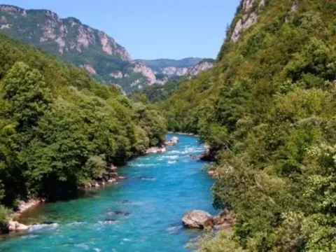 Prodaja, plac, 45500m², Plužine, Crna Gora - image 4