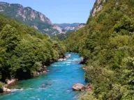 Sale, land lot, 45500m², Plužine, Crna Gora - image 4