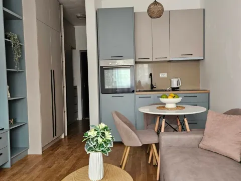 Rent, studio apartment, 23m², Bečići, Budva - image 3