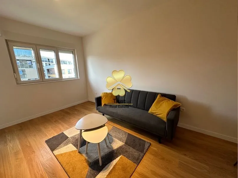 Izdavanje, jednosoban stan, 50m², Central Point, Podgorica