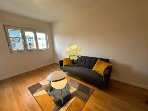 Izdavanje, jednosoban stan, 50m², Central Point, Podgorica - image 2