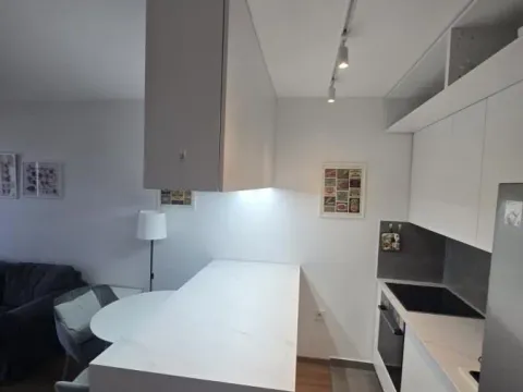 Rent, one bedroom apartment, 43m², Bulevar Evrope, Novi Sad Sve Podlokacije - image 6