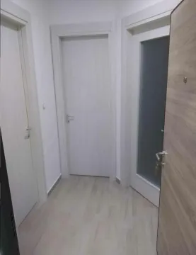 Izdavanje, jednosoban stan, 47m², Ljubović, Podgorica - image 9