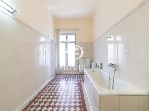 Izdavanje, poslovni prostor, 255m², Vračar Centar, Vračar Sve Podlokacije - image 12