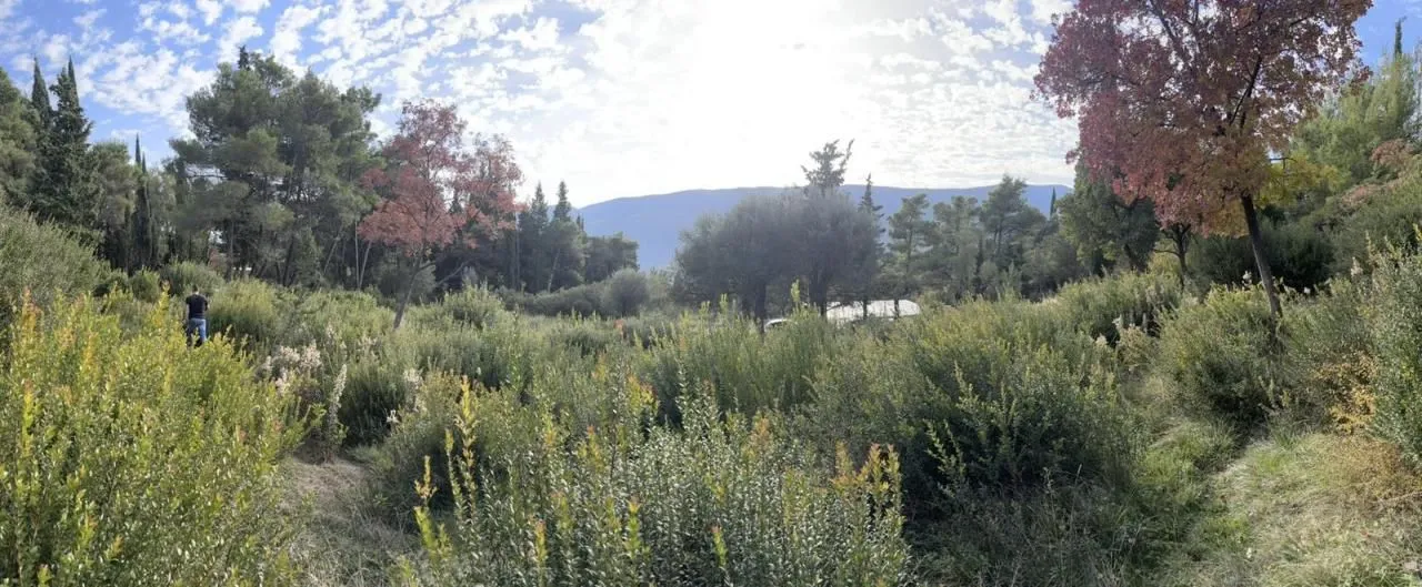 Prodaja, plac, 1334m², Sušćepan, Herceg Novi