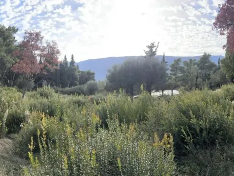 Prodaja, plac, 1334m², Sušćepan, Herceg Novi - image 5