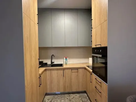 Rent, one bedroom apartment, 48m², Ljubović, Podgorica - image 2