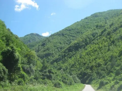 Prodaja, kuća, 120m², Gračanica, Andrijevica - image 2