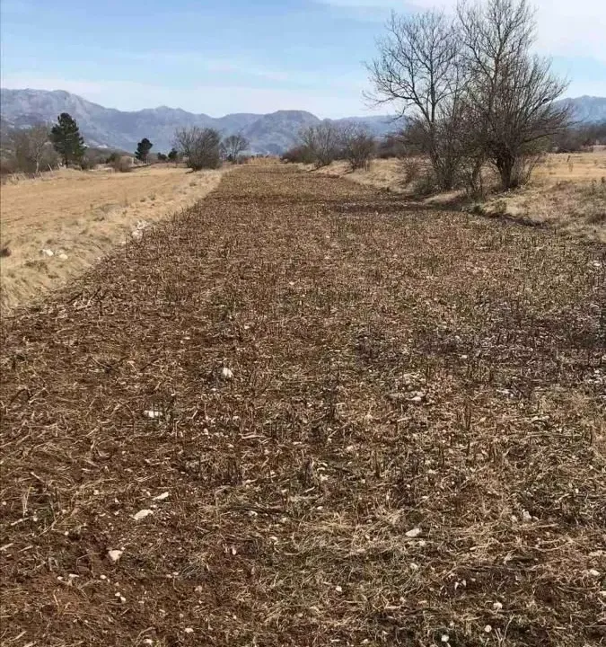 Sale, land lot, 21800m², Grahovo, Nikšić