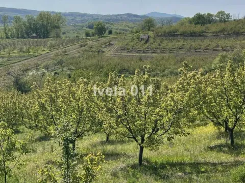 Prodaja, plac, 6200m², Grocka, Beograd - image 14