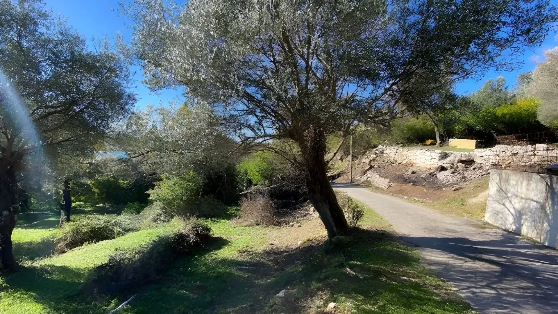 Prodaja, plac, 1258m², Tivat, Crna Gora