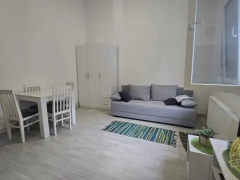 Izdavanje, garsonjera, 22m², Detelinara, Novi Sad Sve Podlokacije - image 3