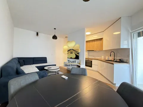 Rent, one bedroom apartment, 50m², Zagorič, Podgorica - image 3