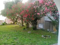 Prodaja,  ugostiteljski objekat, 480m2, Petrovac, Budva