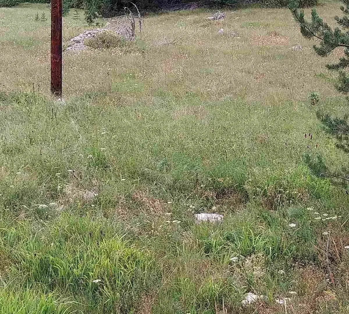 Prodaja, plac, 1600m², Žabljak, Crna Gora