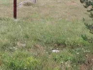 Prodaja, plac, 1600m², Žabljak, Crna Gora - image 4