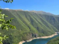 Prodaja,  zemljište, 15000m2, Seljani, Plužine