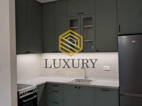 Rent, one bedroom apartment, 44m², Zabjelo, Podgorica - image 1