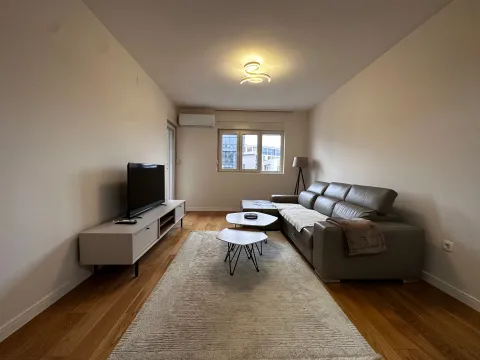 Izdavanje, jednosoban stan, 50m², Central Point, Podgorica - image 2