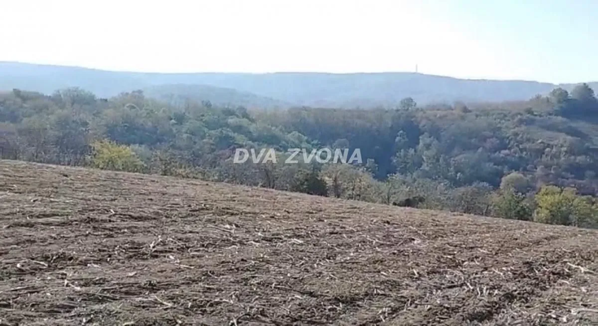 Prodaja, plac, 4500m², Sremski Karlovci, Novi Sad