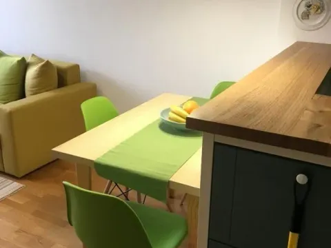 Izdavanje, jednosoban stan, 40m², Kej, Novi Sad Sve Podlokacije - image 3