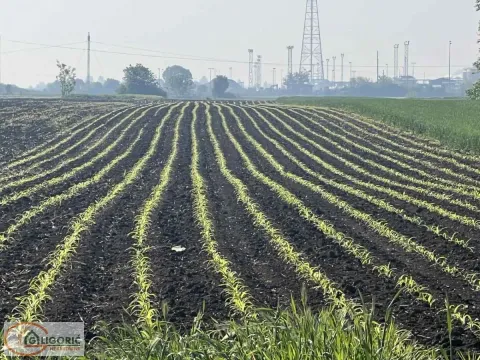 Sale, land lot, 4400m², Vojlovica, Pančevo - image 3