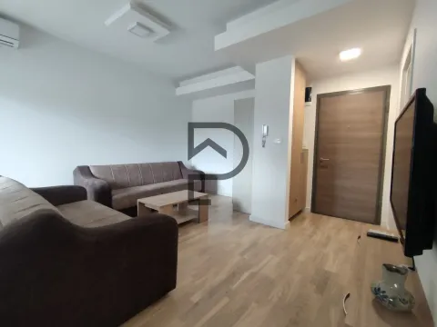 Izdavanje, stan, 33m², Centar, Podgorica - image 6