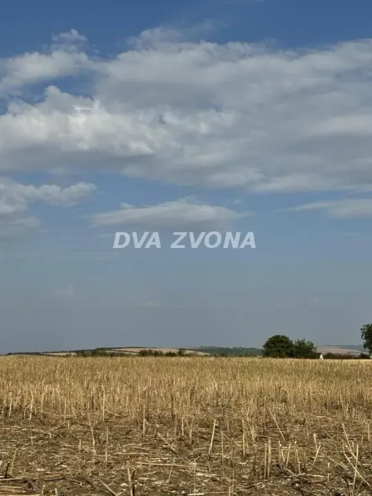 Prodaja, plac, 1000m², Čortanovci, Inđija