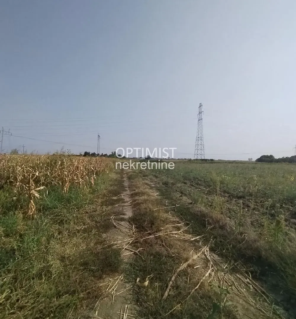 Prodaja, plac, 7925m², Jakovo, Surčin