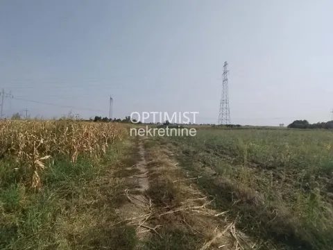 Prodaja, plac, 7925m², Jakovo, Surčin - image 3