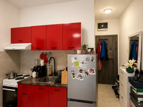 Prodaja, garsonjera, 26m², Zabjelo, Podgorica - image 4