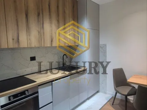 Rent, one bedroom apartment, 40m², Gornja Gorica, Podgorica - image 4