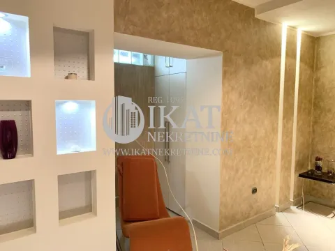 Izdavanje, dvosoban stan, 60m², Palilula Sve Podlokacije, Beograd - image 7