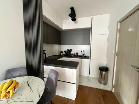 Izdavanje, jednosoban stan, 43m², Pobrežje, Podgorica - image 4