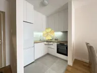 Izdavanje, jednosoban stan, 43m², Central Point, Podgorica - image 5