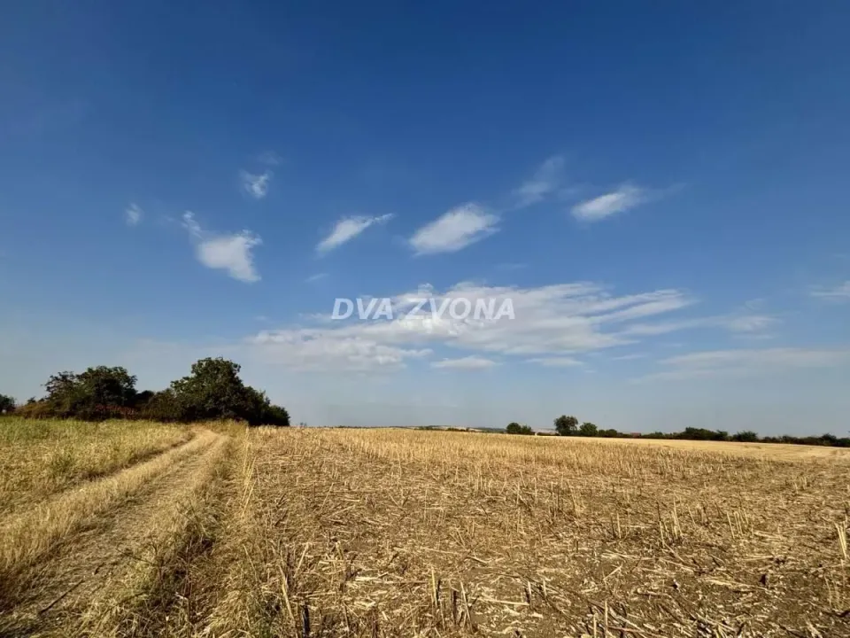 Prodaja, plac, 1500m², Čortanovci, Inđija
