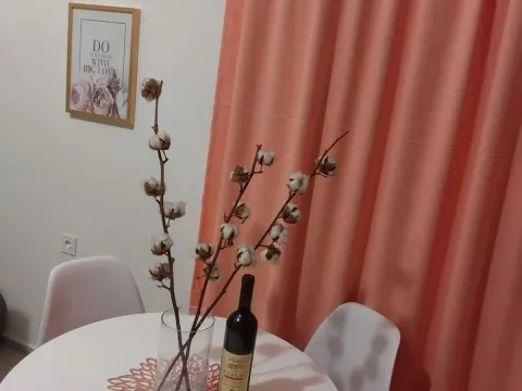 Izdavanje, jednosoban stan, 26m², Sutvara, Kotor - image 5