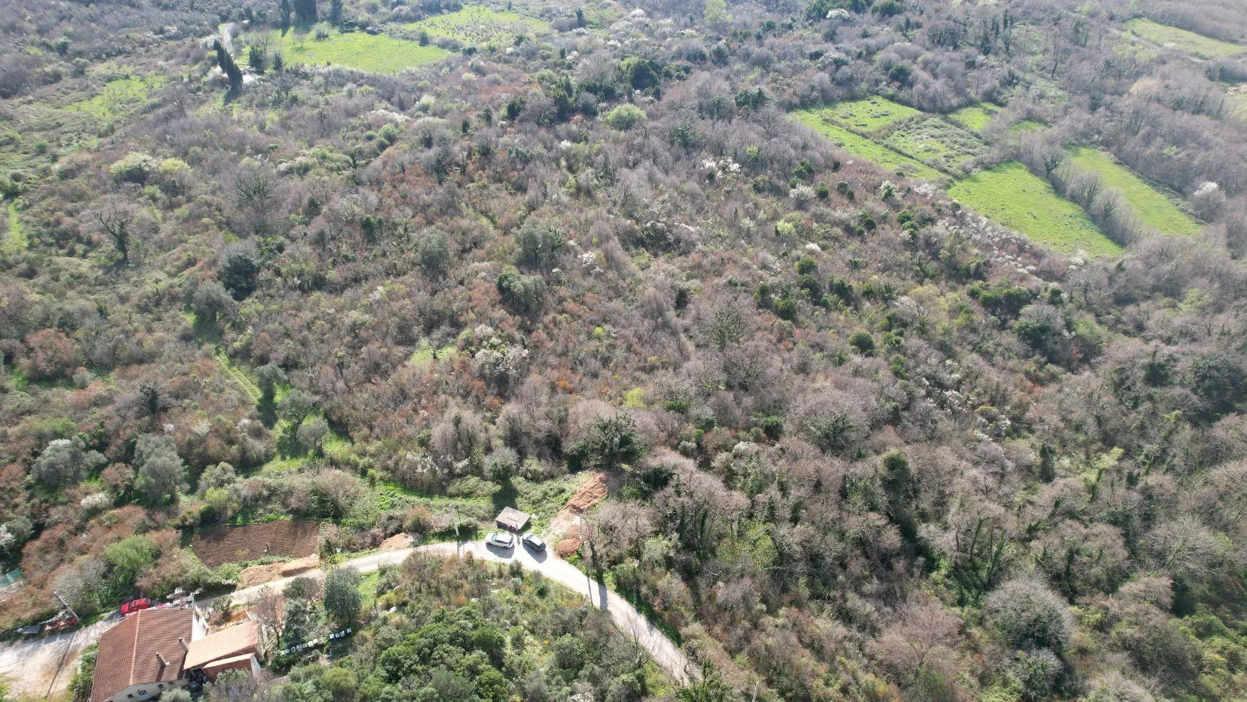Sale, land lot, 40000m², Buljarica, Budva