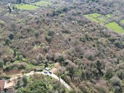 Prodaja, plac, 40000m², Buljarica, Budva - image 4