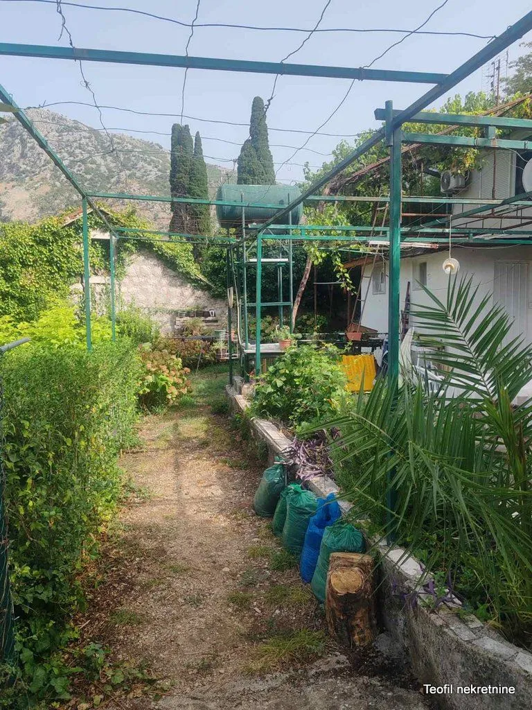 Zeleno dvorište sa metalnom konstrukcijom za vinovu lozu i pogledom na okolno zelenilo.